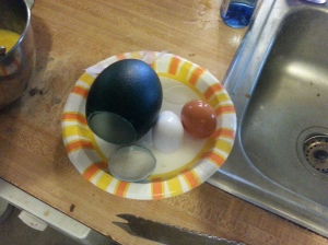Chicken egg vs. Emu egg